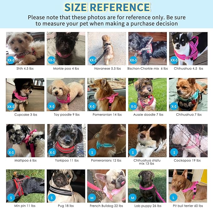 Lukovee No Pull Dog Harness and Leash Set, Soft Padded Small Dog Harness, Neck & Chest Adjustable Reflective Vest Puppy Harness with 4ft Lightweight Anti-Twist Dog Leash for Small Dogs (XXS, Fuschia)