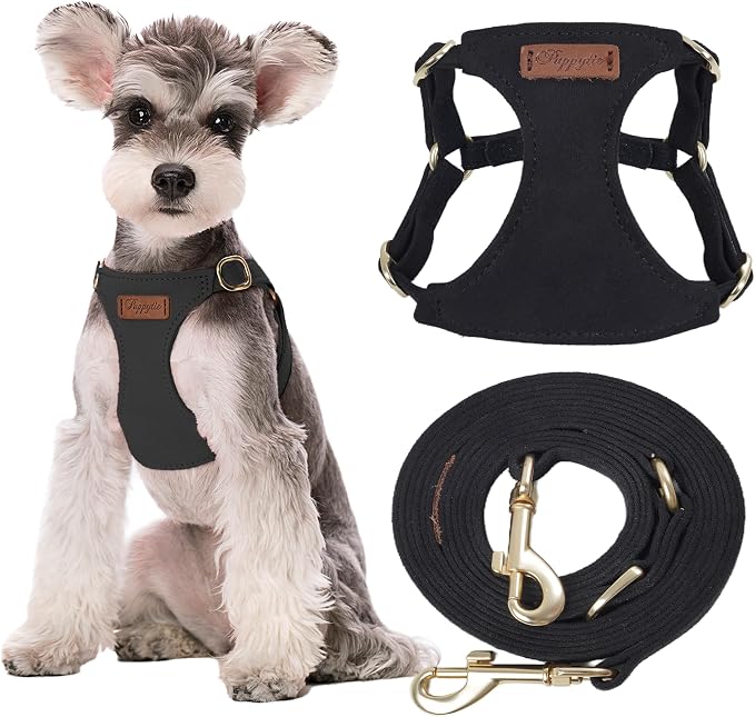 Puppytie Small Dog Harness with Multifunction Dog Leash,Lightweight Soft Adjustable No Choke Escape Proof Pet Harness Vest Pet Harness Vest,Black,S