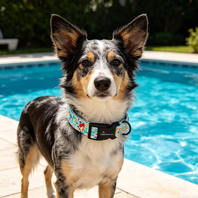 ARING PET Summer Dog Collar, Cute Blue Submarine World Doggy Collars for Puppy Small Medium Large Boy Girl Dogs Pet, for Daily Photos Outdoor Beach Walking Picnic, L