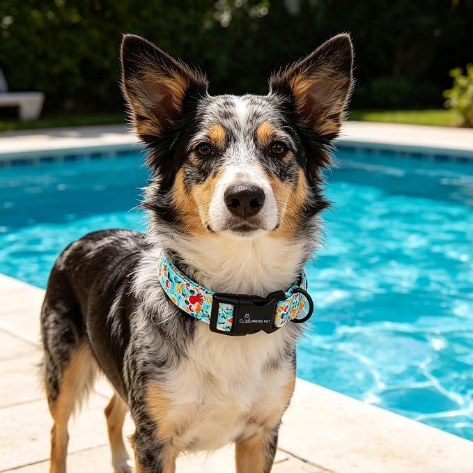 ARING PET Summer Dog Collar, Cute Blue Submarine World Doggy Collars for Puppy Small Medium Large Boy Girl Dogs Pet, for Daily Photos Outdoor Beach Walking Picnic, S