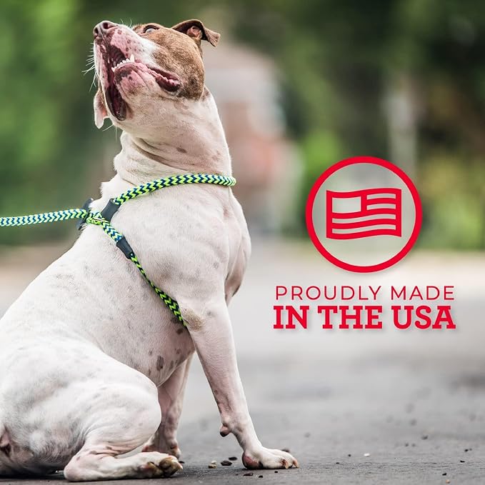 Harness Lead No Pull Dog Harness and Leash Set, Anti Pull Dog Harness, One-Piece Cushioned Rope Safely Prevents Escaping and Pulling (Medium/Large, Reef)