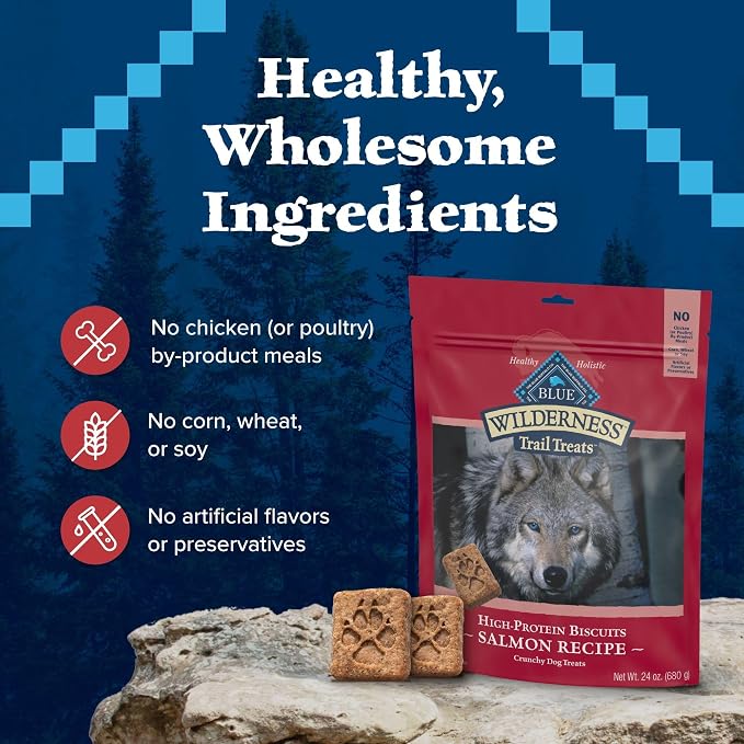 Blue Buffalo Wilderness Trail Treats Salmon Crunchy Dog Biscuits, Grain-Free & High-Protein, Bite-Sized Training Treats Made with Real Salmon & Natural Ingredients, 24-oz Bag