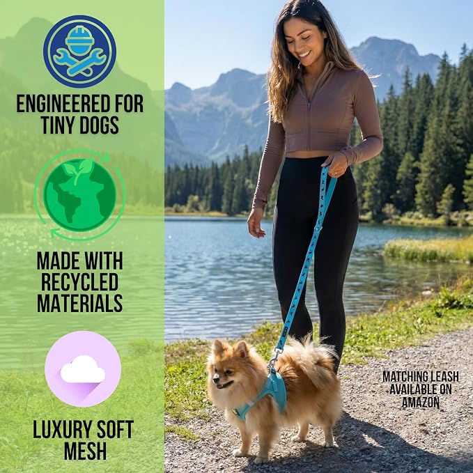 EcoBark Step in Dog Harness - Eco-Friendly Teacup Dog Harnesses for XXS, XS, and Small Dogs - Reflective and Adjustable Mini Body Halter Vest -Tiny Soft Mesh - Toy Breeds Under 5 lbs (Baby Blue, XXS)