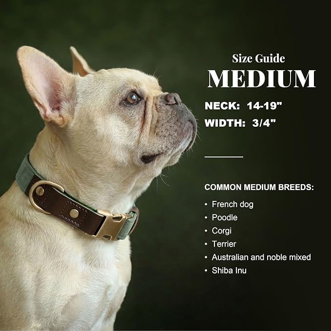 Didog Soft PU Leather Dog Collars for Medium Dogs,Classic Adjustable Dog Collars with Quick Release Metal Buckle,Easy Clean and Comfortable with Nylon Lining,Green,M Neck 14-19"