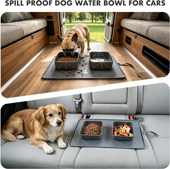 No Spill Collapsible Dog Bowls with Mat, 20oz 2-in-1 Roll-Up Silicone Pet Feeding Station, Portable BPA-Free Travel Dog Bowls for Car, Camping, and Outdoor Use