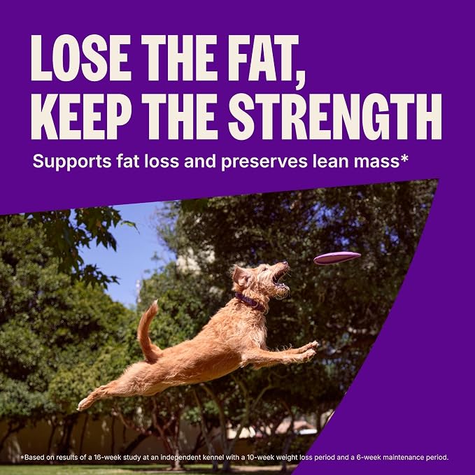 Wellness CORE Healthy Weight Adult Dry Dog Food, Grain Free Kibble, Natural, High Protein, Turkey and Chicken Recipe, 4 lb Bag