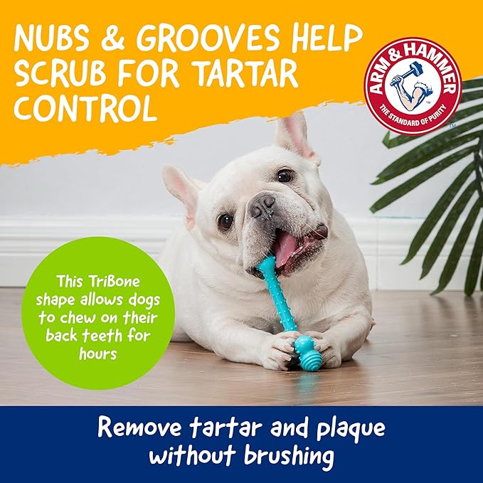Arm and Hammer Nubbies T-Bone Dental Dog Chew Toy with Peanut Butter Flavor, TPR Nubs Clean Teeth and Gums, Durable Nylon Chew for Aggressive Chewers, Helps Reduce Plaque and Tartar