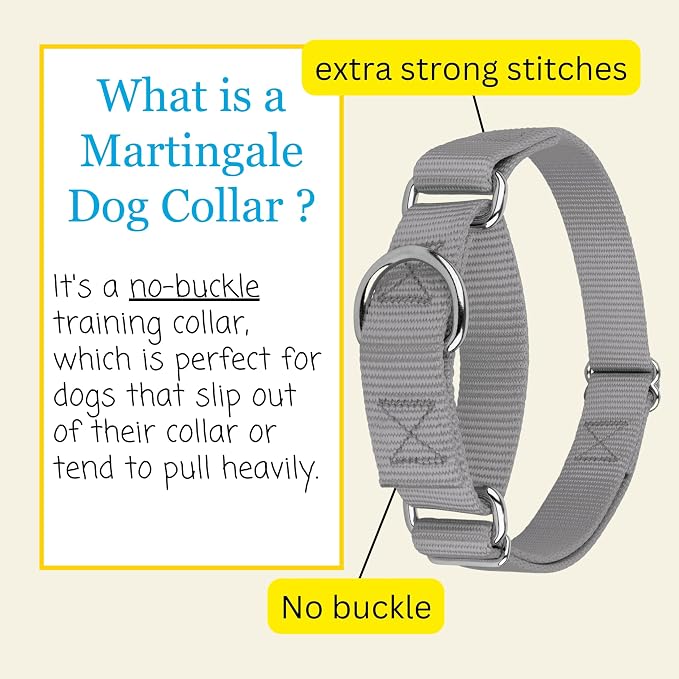 Country Brook Petz - Martingale Dog Collar - Heavy-Duty Training Collar with No Buckle - Service Dog Collar for All Pups - 20 Vibrant Colors (Silver, 5/8 Inch, Extra Small)