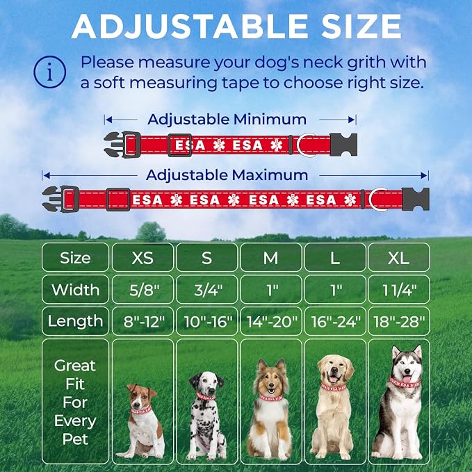 TECEUM Reflective Pet Collar – Red - ESA – L – Extra Soft Padding – Basic Nylon Dog Collar – Quick Release Buckle – Fits Small, Medium and Large Dogs, Puppies, Cats – ESA & Service Dog Options