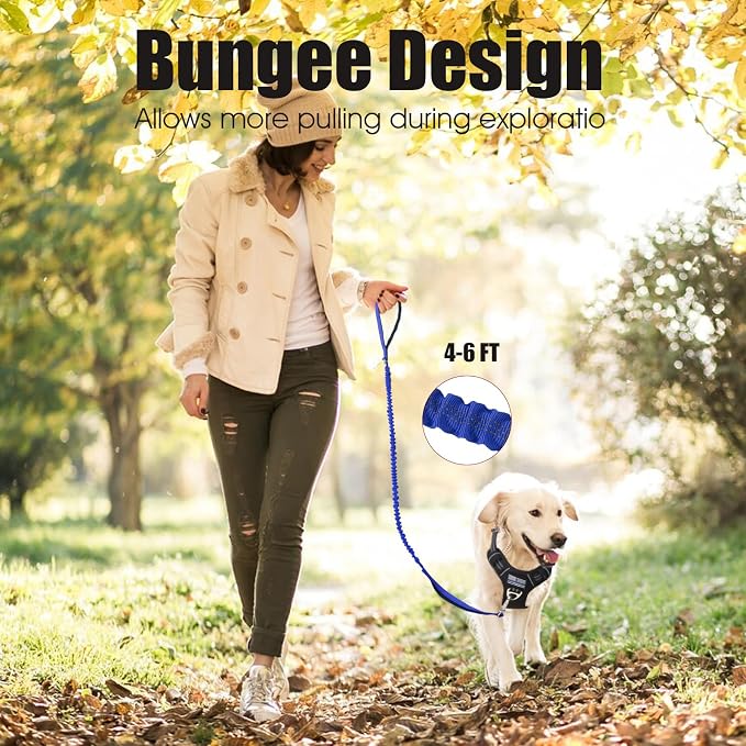 BUMBIN 6Ft Dog Leash - Large Dogs, Bungee Leash with 2 Handles, Heavy Duty, No Pull Shock Absorbing, Deep Blue