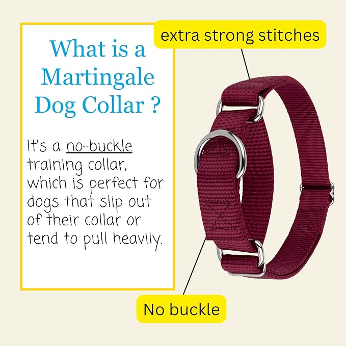 Country Brook Petz - Martingale Dog Collar - Heavy-Duty Training Collar with No Buckle - Service Dog Collar for All Pups - 20 Vibrant Colors (Burgundy, 1 Inch, Large)