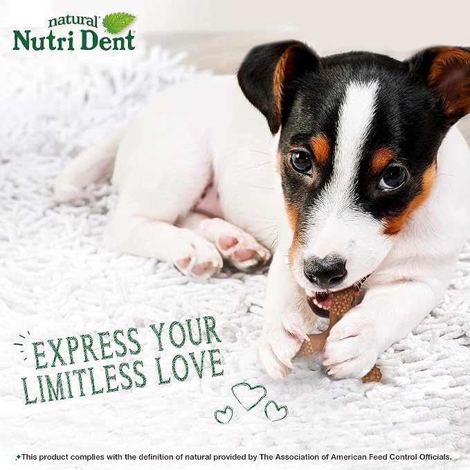 Nylabone Nutri Dent Dog Dental Chews - Natural Dog Teeth Cleaning & Breath Freshener - Dental Treats for Dogs - Filet Mignon Flavor, Small (1 Count)