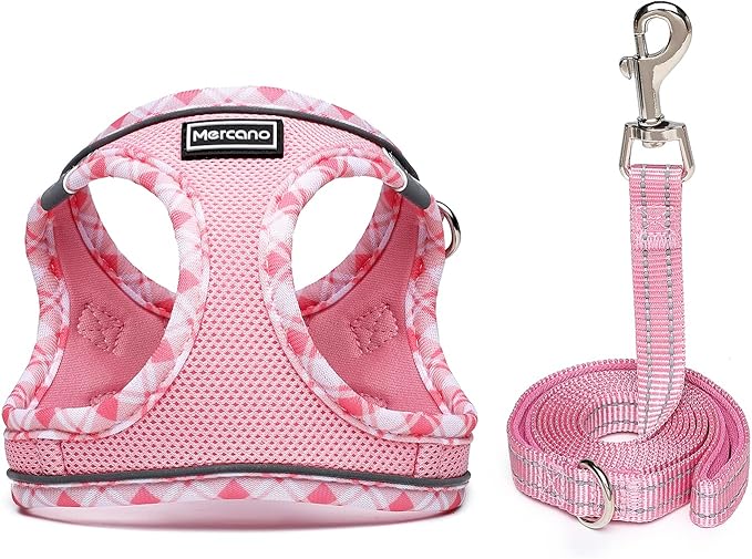 Mercano Soft Mesh Dog Harness and Leash Set, Step-in Reflective Breathable Lightweight Vest Harnesses with Safety Buckle for Small Dogs, Cats (Pink, S)