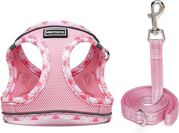 Mercano Soft Mesh Dog Harness and Leash Set, Step-in Reflective Breathable Lightweight Vest Harnesses with Safety Buckle for Small Dogs, Cats (Pink, L)