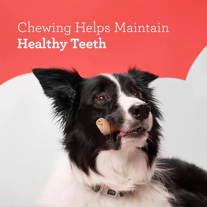DreamBone Chicken Mini Bone Dog Treats, Daily Rawhide-Free Chew, Digests Safely and Completely, With Real Protein, Chicken and Veggies, 36 count