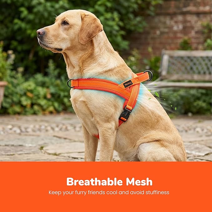 Didog No Pull Dog Harness with Breathable Mesh Padded,Reflective & Quick Fit Light Weight Dog Strap Vest Harness,Easy for Walking Training (L:Chest 26-32", Orange)
