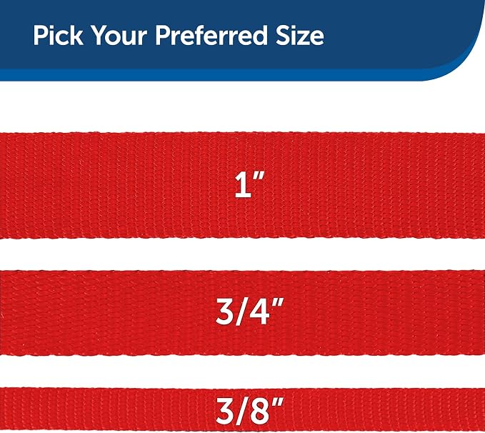 PetSafe Nylon Dog Leash Strong, Durable, Traditional Style Lead with Easy to Use Bolt Snap for Small, Medium and Large Dogs 3/8" x 6', Red