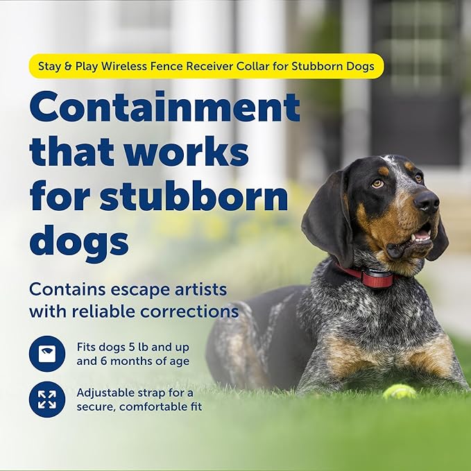 PetSafe Stubborn Dog Stay & Play Wireless Pet Fence Receiver Collar, Waterproof, Rechargeable, Tone and Static Correction, PIF00-13672, One Size, from the Parent Company of the Invisible Fence Brand