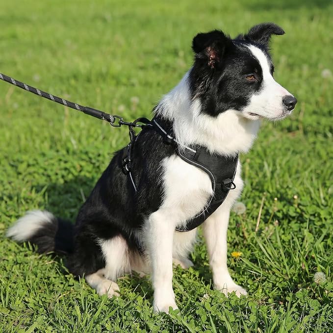 Amazon Basics No-Pull Dog Harness, Soft Padded Adjustable Vest with Reflective Stripes, Large, Black