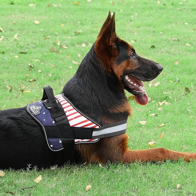 Dog Harness, No-Pull Reflective Dog Vest, Breathable Adjustable Pet Harness with Handle for Outdoor Walking - No More Pulling, Tugging or Choking (Flag, X-Large)