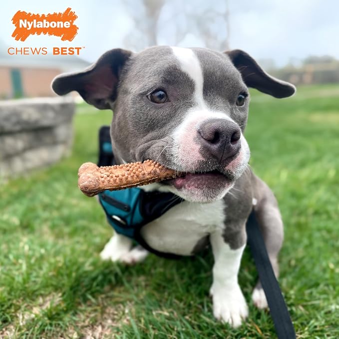 Nylabone Healthy Edibles Natural Dog Chews Long Lasting Chew Treats for Dogs, Roast Beef Flavor, X-Small/Petite (4 Count)