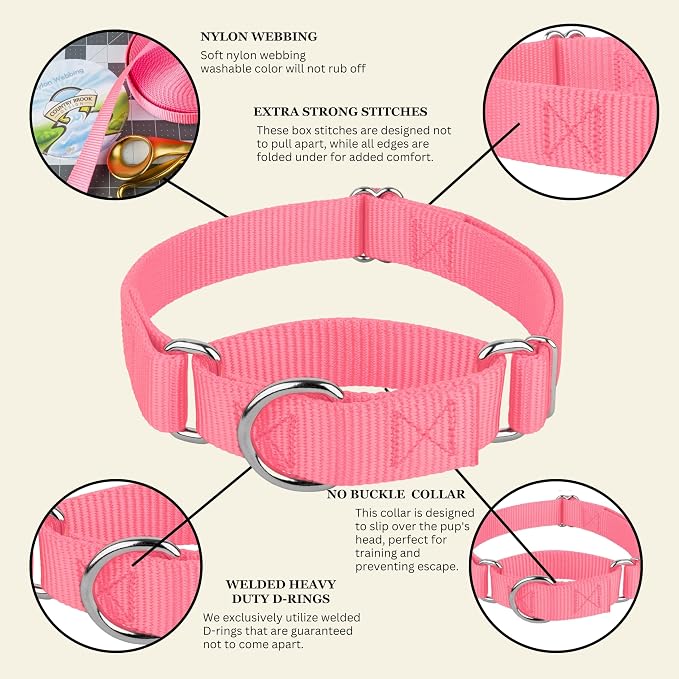 Country Brook Petz - Martingale Dog Collar - Heavy-Duty Training Collar with No Buckle - Service Dog Collar for All Pups - 20 Vibrant Colors (Pink, 5/8 Inch, Extra Small)