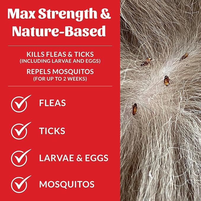 Skout's Honor Flea and Tick Shampoo for Dogs - Natural Peppermint & Cedarwood Formula, Helps to Protect from and Against Fleas, Ticks, and Mosquitos, 16 oz