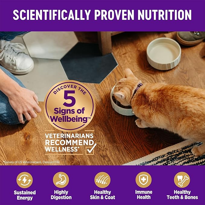 Wellness Complete Health Kitten Dry Cat Food, Natural, Wholesome Grains Kibble, Turkey, Turkey Meal and Chicken Recipe, 5 lb Bag