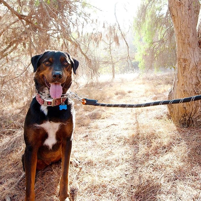 ZippyPaws Climbers Rope Heavy Duty Dog Leash - Thick Leashes for Large Breed Dogs, Durable 2/3'' Climbing Rope, 6 Feet Long, Comfortable Woven Design, Tested Strength Over 3000 lbs - Red
