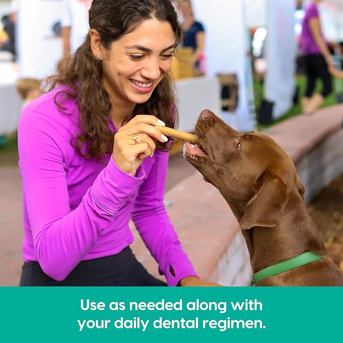 ARK Naturals Breath Bursts Brushless Toothpaste, Dog Dental Sticks for Large Breeds, Unique Texture Helps Clean Teeth & Freshen Breath, Peppermint, 6 oz, 1 Pack
