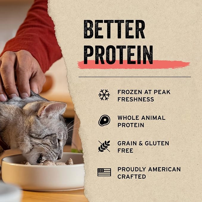 Vital Essentials Freeze Dried Raw Single Ingredient Cat Treats, Minnows, 1 oz (Pack of 3)