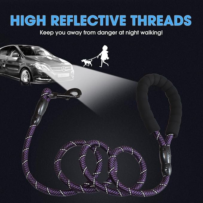 BAAPET 2/4/5/6 FT Dog Leash with Comfortable Padded Handle and Highly Reflective Threads for Small Medium and Large Dogs (5FT-1/2'', Black Purple)