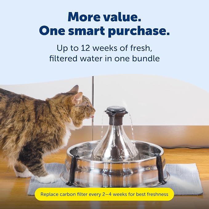 PetSafe Stainless Multi-Pet Fountain with Carbon Filters Great for Multiple Pet Households Customizable Stream Options Scratch and Rust Resistant 128 Oz Water Capacity Fresh, Filtered Water