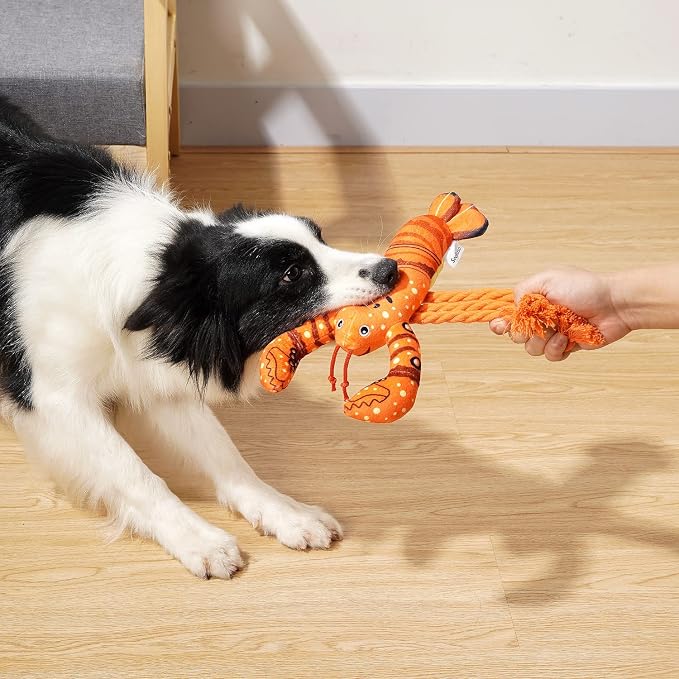 Sedioso Dog Toys, Dog Plush Toy for Large Breed, Cute Squeaky Dogs Toy with Crinkle Paper, Puppy Chew Toy for Small, Middle, Large Breed (Lobster)