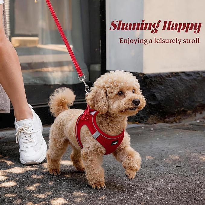 YIMEIS Dog Harness and Leash Set, No Pull Soft Mesh Pet Harness, Reflective Adjustable Puppy Vest for Small Medium Large Dogs, Cats (Red 02, X-Small (Pack of 1)
