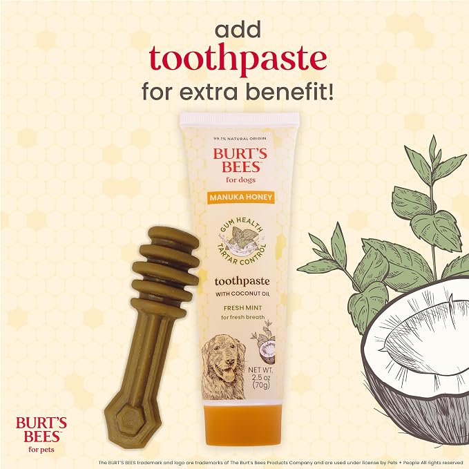 BURT'S BEES FOR PETS Dental Treats for Dogs with Manuka Honey & Ginger, 98% Natural Origin, Holistic Oral Care, Freshens Breath, Peanut Butter Flavor, Small Size, 10 ct, 6.8 Oz