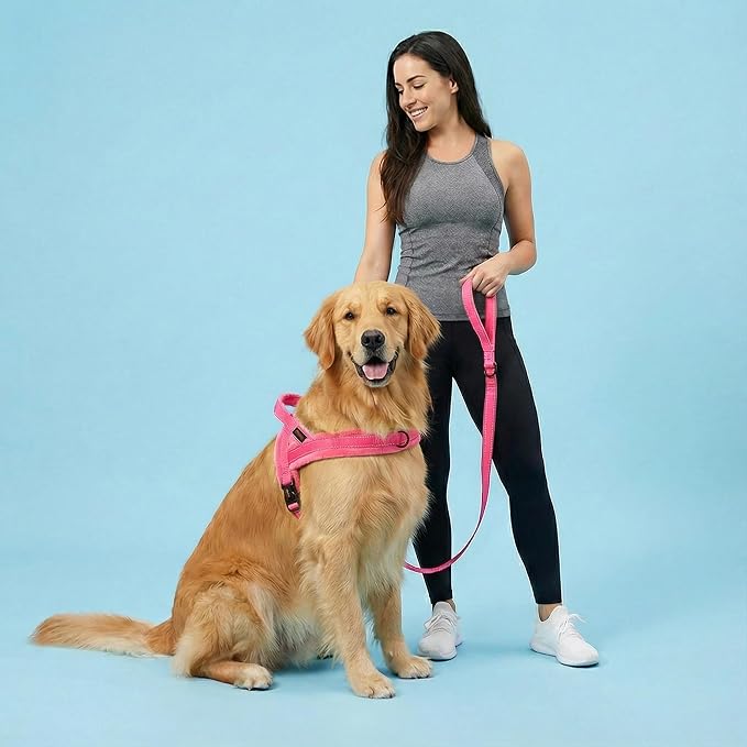 Didog Soft Flannel Padded Dog Vest Harness, No Pull/Quick Fit Reflective Dog Strap Harness, Easy for Training Walking (L:Chest 26-32", Pink)