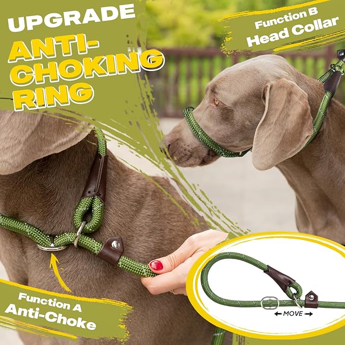 Fida Durable Slip Lead Dog Leash, 6 FT x 3/8" Heavy Duty Comfortable Strong Rope Slip Lead for Small Dogs and Puppies, No Pull Pet Training Leash with Highly Reflective(3/8", Green)