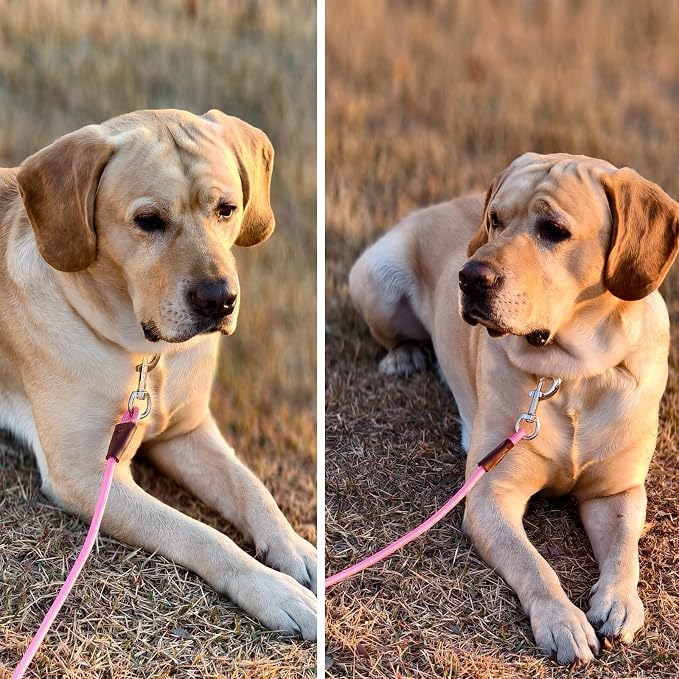MayPaw 4/6 /8/10 FT Dog Leash, Classic Solid Colors, Strong Nylon Rope Dog Leash Reinforced with Leather Tailor Connection Heavy Duty Silver Clasp (Pink, 10ft*1/2")