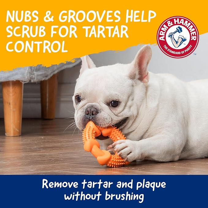 Arm & Hammer Nubbies Dog Dental Chew Toy, Rubber Ring, Peanut Butter Flavor, for Moderate Chewers, Reduces Plaque and Tartar Buildup, Baking Soda Infused, No Stuffing