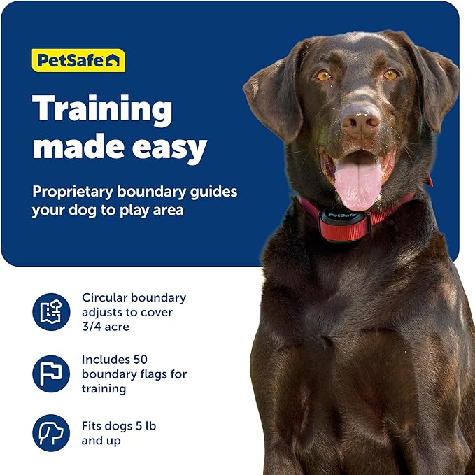 PetSafe Stay & Play Wireless 2-Dog Fence for Stubborn Dogs No Wire Covers 3/4-Acre Yard for Pets 5 lb. and Up Portable from the Parent Company of Invisible Fence Brand