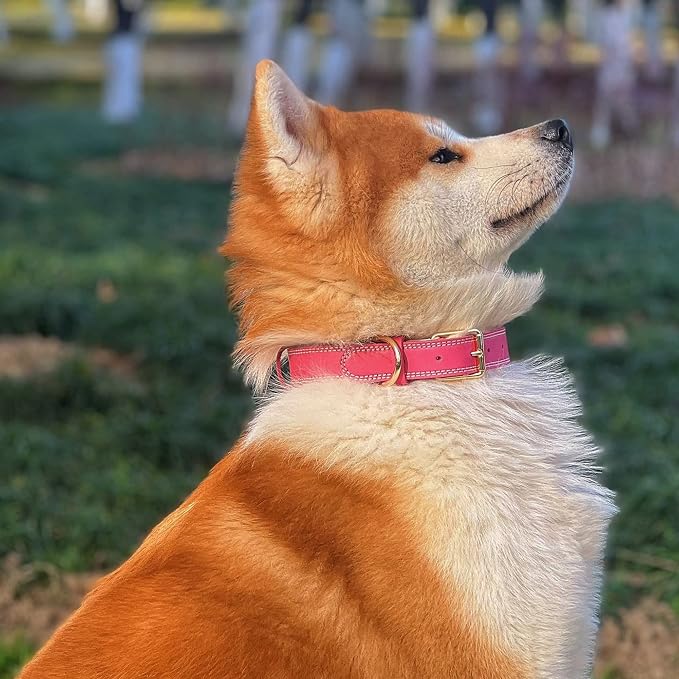 Dog Collar,Genuine Leather Heavy Duty Dog Collar for Small, Medium,Large and Extra Large Dogs (L: 1.2" Wide for 16.2"-22" Neck,Dual Stitch - Pink)