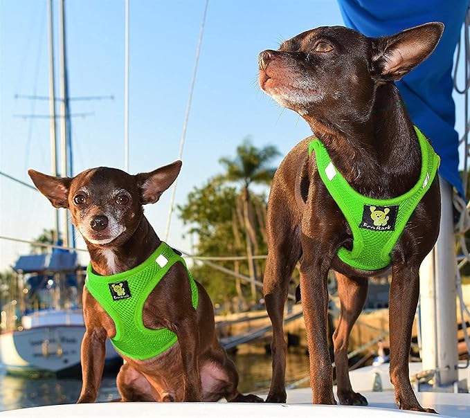 EcoBark Premium Dog Harness - Luxury Soft Dog Harnesses for Puppies & Dogs - Step in Vest Body Halter Under 19 lbs (Green)