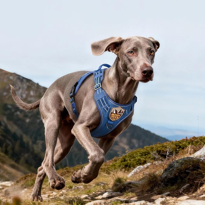 rabbitgoo Tactical Dog Harness for Large Dogs No Pull Adjustable Military Vest with Handle MOLLE Reflective Heavy Duty Dog Vest for Walking Training Hunting Outdoor Working Medium Size Dog Blue L