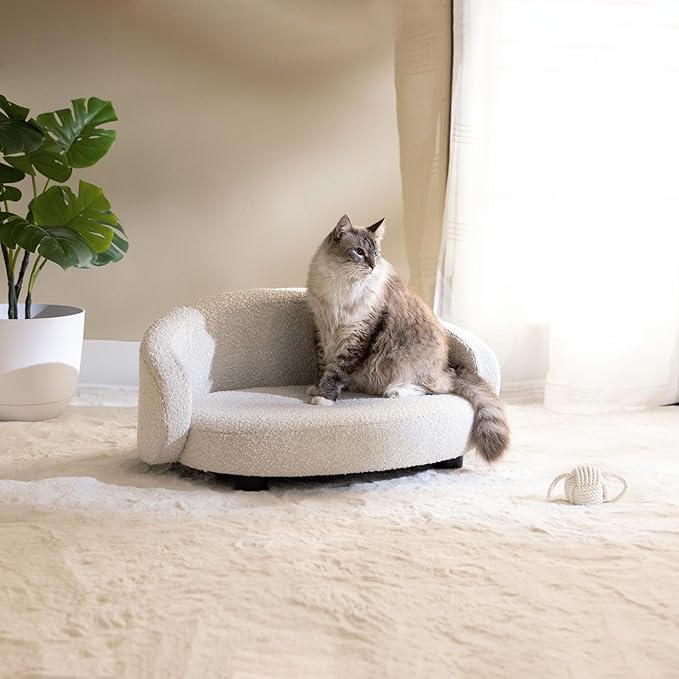 Paws & Purrs Arc Crescent Back Sofa Style Pet Bed, Dog & Cat Modern Couch with Tufted Cushion & Armrest, Stylish Indoor Pet Furniture, Boucle Ivory