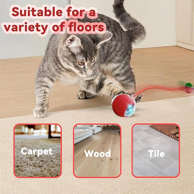 Speedy 2.0 Tail Interactive Cat Toys for Indoor Cats, Automatic Cat Toy with Elastic Mesh Tail, Electric Rolling Ball on Carpet, Chirping and Motion Activate Cat(Grey)