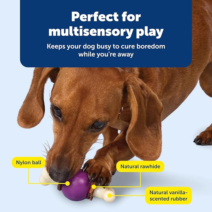 PetSafe Busy Buddy Bouncy Bone, Treat Holding Dog Toy, Small, Best for Dogs Up to 10 Lb.
