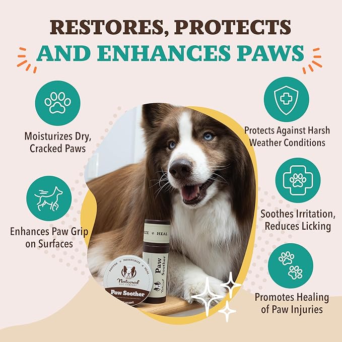 Natural Dog Company Paw Soother Dog Paw Balm – Moisturizes Dry Cracked Paws After Walks, Hot Pavement, Beach Sand, Hiking & Outdoor Play with Coconut Oil & Calendula, Daily Paw Care, 1 oz Tin