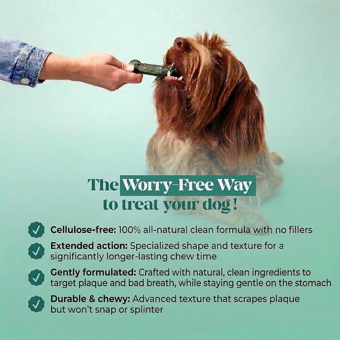 Pet Honesty Brush Buddies All Natural Dog Dental Treats for Dogs – Long Lasting Dental Sticks for Dogs, Teeth Cleaner, Breath Freshener, Plaque & Tartar Remover – Large Sized Dogs (8 Count)