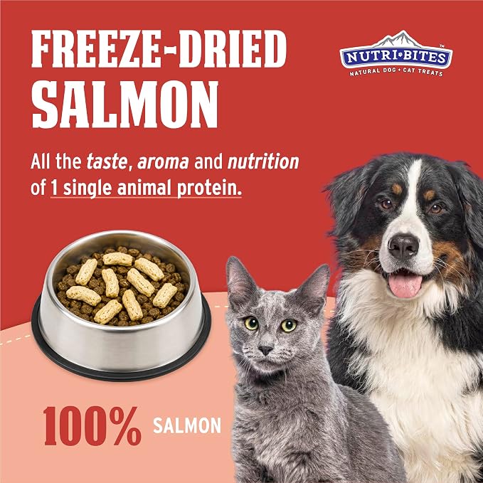 Nutri Bites Freeze Dried Salmon Dog & Cat Treats, 14oz | Healthy Pet Training Treats or Food Topper | All Natural, 1 Single Animal Protein, High Protein